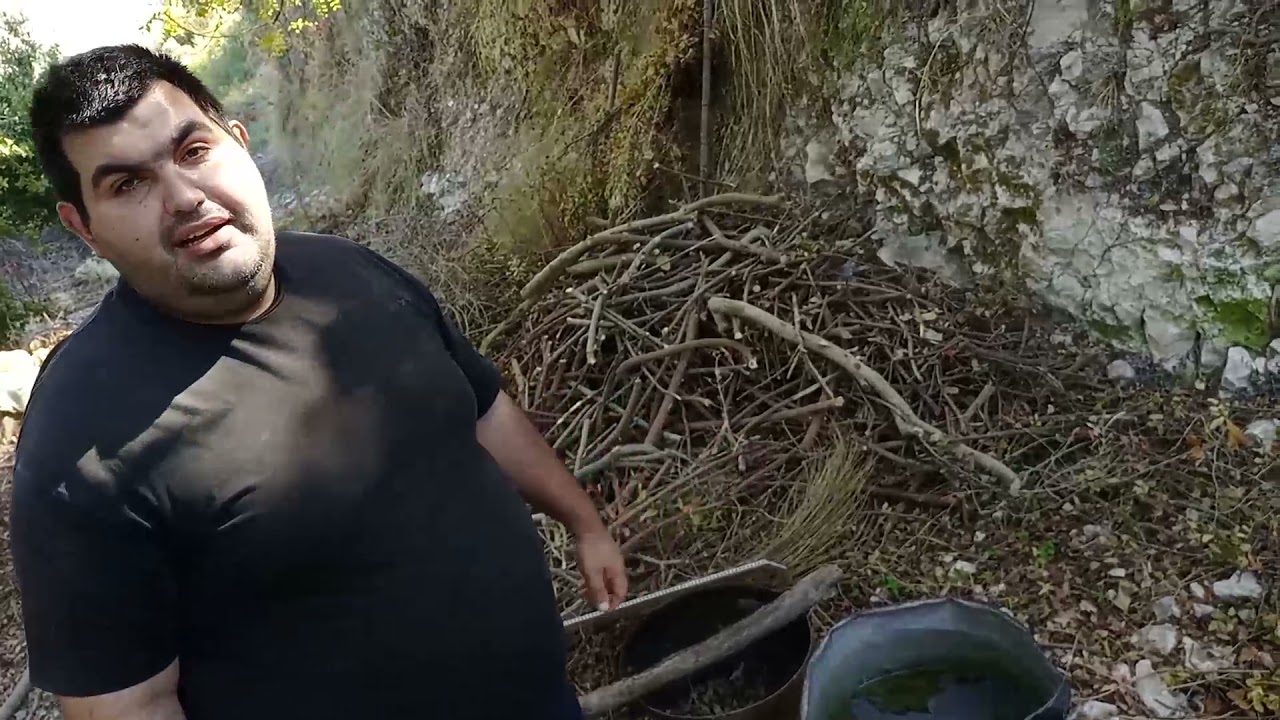 Traditional laurel seeds oil extraction in Lebanon إستخراج زيت حب الغار بطريقة تقليديّة في لبنان