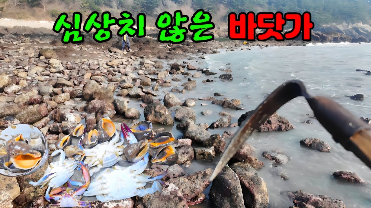 1년내내 다니던 바닷가 큰일났습니다