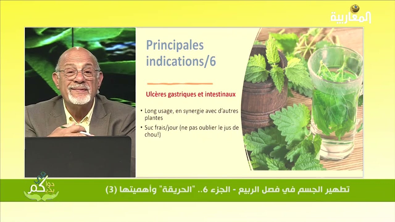 تطهير الجسم في الربيع (7).. الحرايقة (3) Détoxification de printemps (7): L’ortie (3)