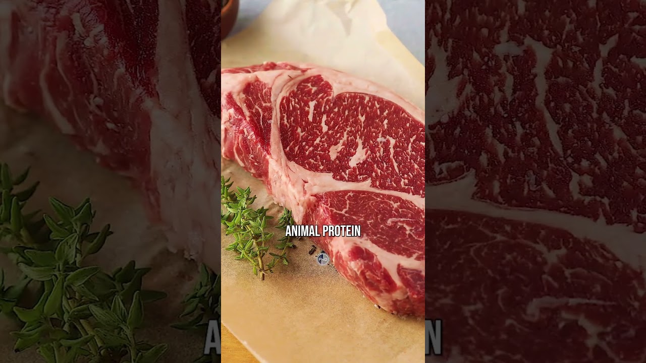 Do You Have To Fast On a Carnivore Diet?