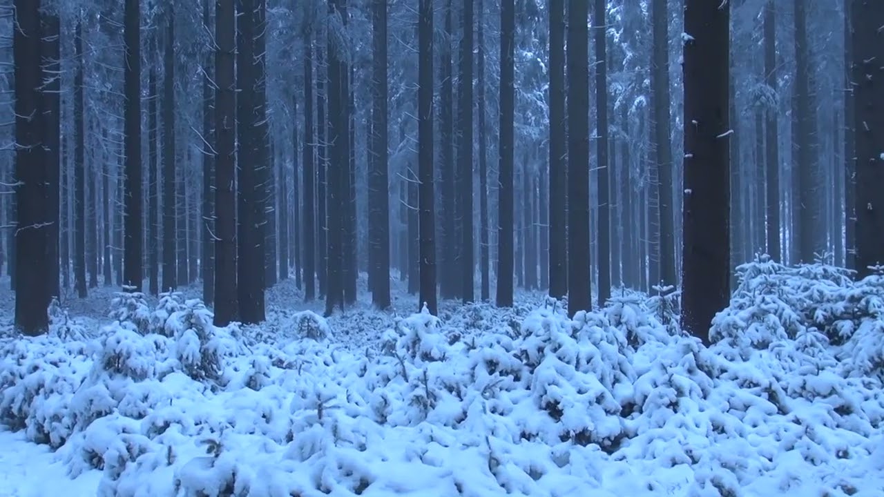 Hubertussteig - Genusswanderung in Ottenschlag