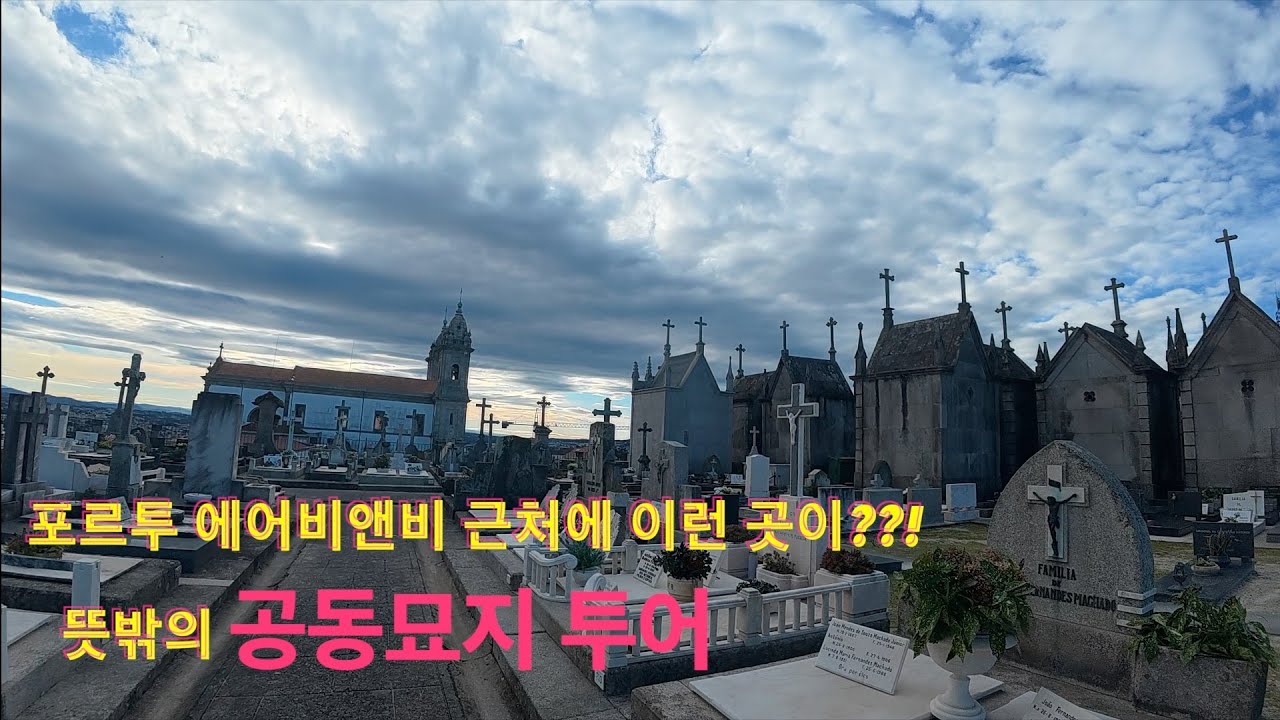 포르투에서 마주친 죽은 자들의 도시? 🪦 묘지 투어부터 미친 야경까지 (feat. 인생 에그타르트)