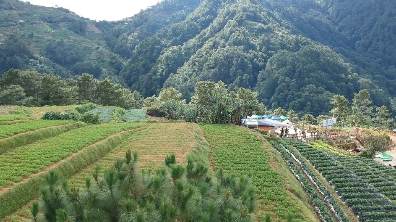 Tara sa Stellar View Campsite - Atok Benguet