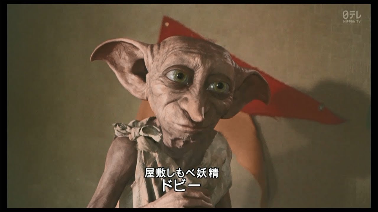 初めましてのドビー