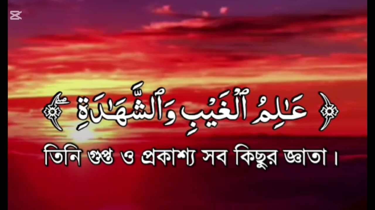 সূরা হাশর