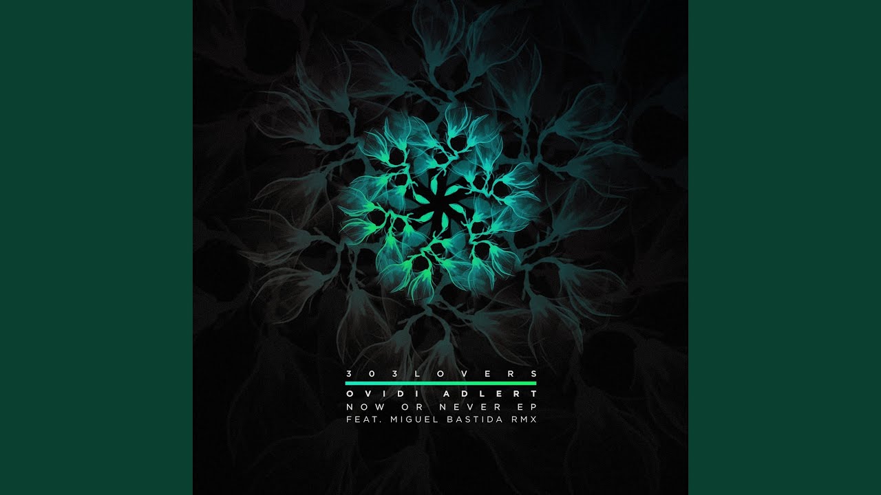 Now or Never (Original Mix)