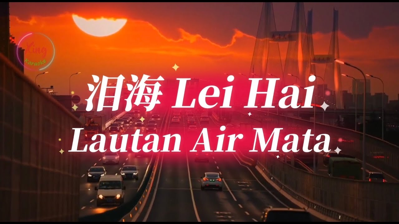 泪海 Lei Hai Cover