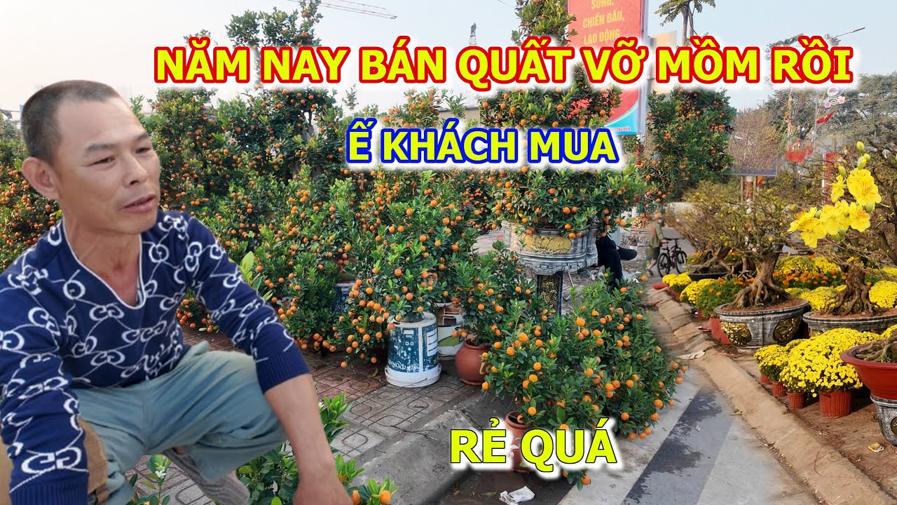 NGƯỜI BÁN THAN QUẤT TẾT NĂM NAY Ế KHÁCH CHỢ HOA XUÂN CỔ LINH LONG BIÊN MAI VÀNG.