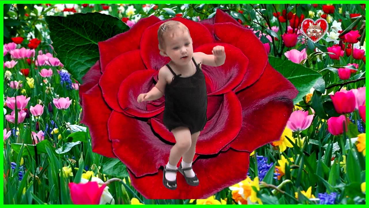 CHEMO PATARA GOGONA