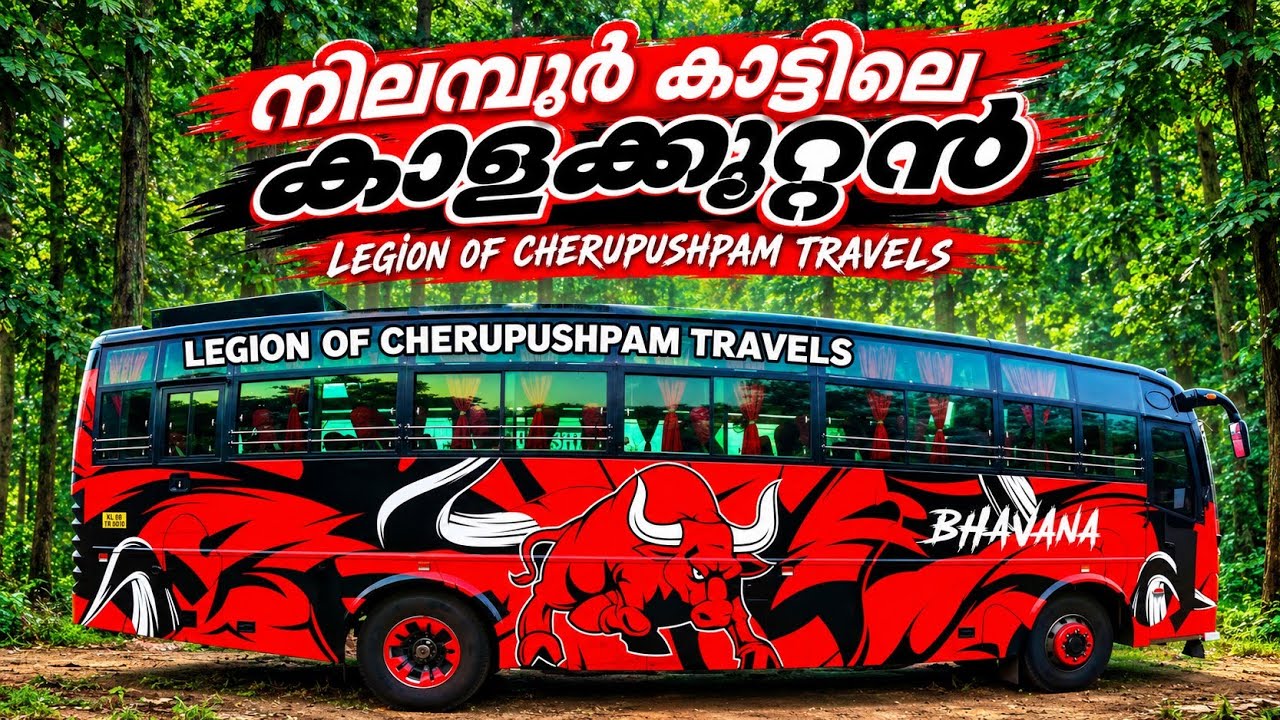 നിലമ്പൂർ കാട്ടിൽ ഇറങ്ങിയ കാളക്കൂറ്റൻ | 