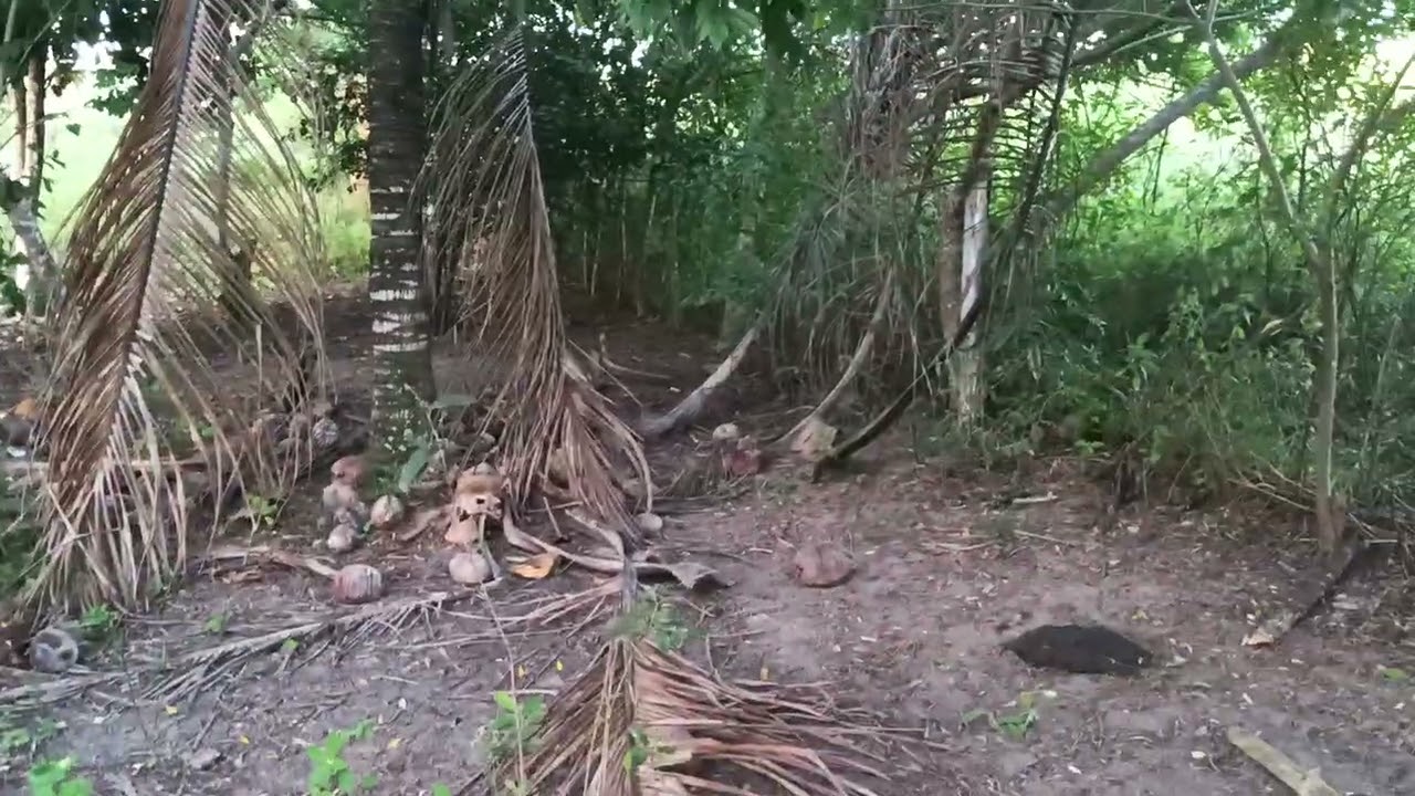 9 de março de 2026 mais uma aventura Odair 