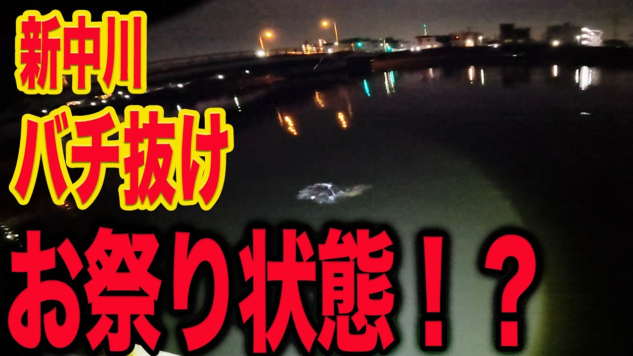【下手釣り９】バチ抜けで魅せる！新中川シーバス！