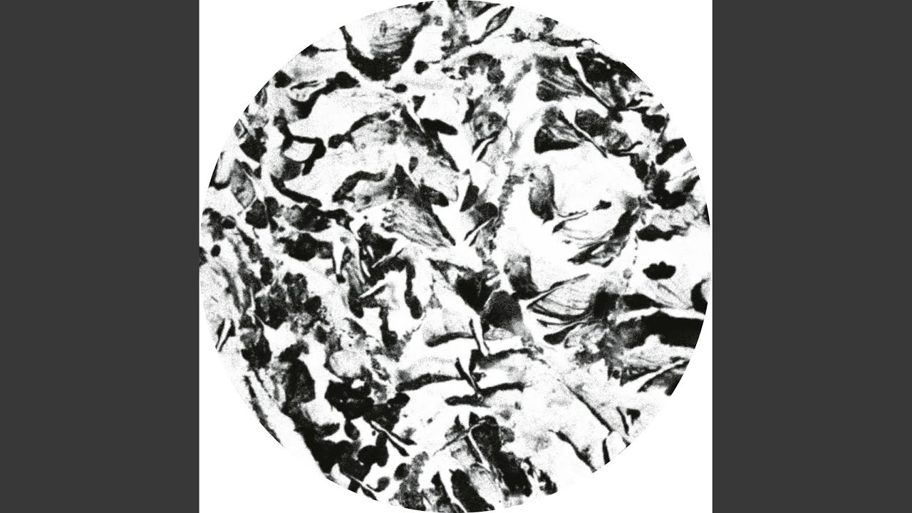 Anata