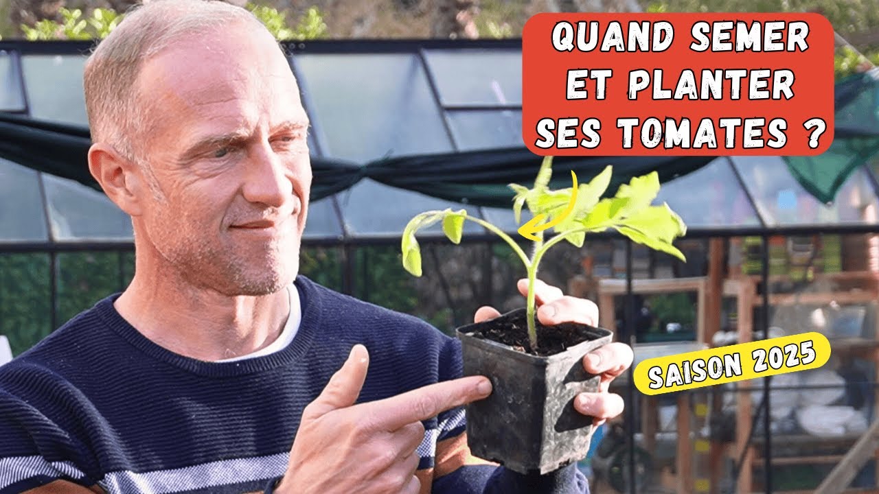 Focus sur le semis de tomate, les dates clés #potager