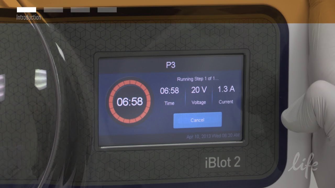 iBlot®2 Dry Blotting System How To Video