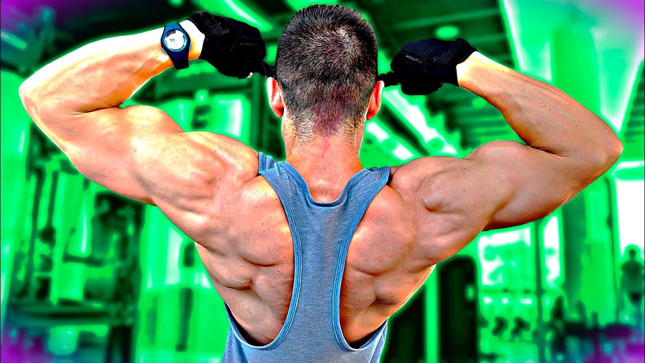 ✅ MEJOR rutina de HOMBROS GYM ► PERFECTA y COMPLETA para AUMENTAR MASA MUSCULAR 💪 GRANDES REDONDOS