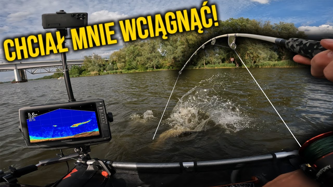 THIS FISH TRIED TO PULL ME UNDERWATER!!! or BELLYBOAT CATFISH