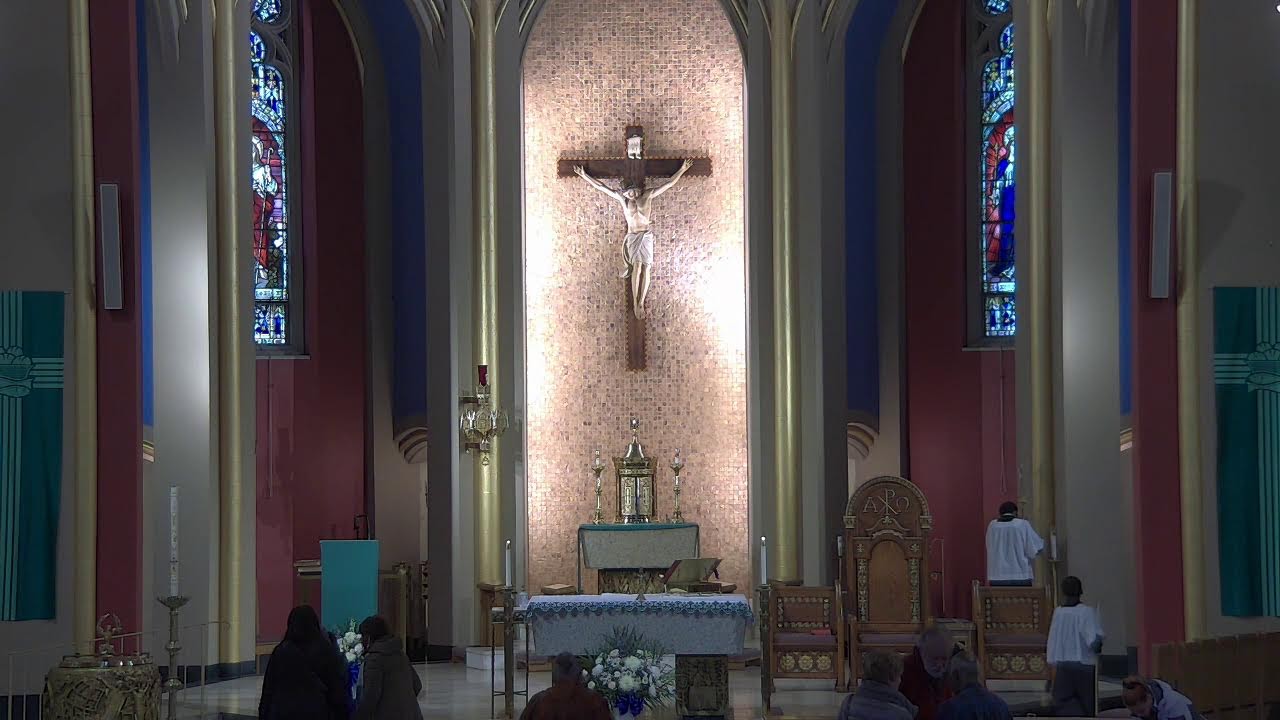 Sixth Sunday in Ordinary Time 11:30am Mass