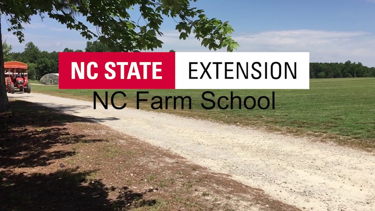 NC Farm School Farm Tour