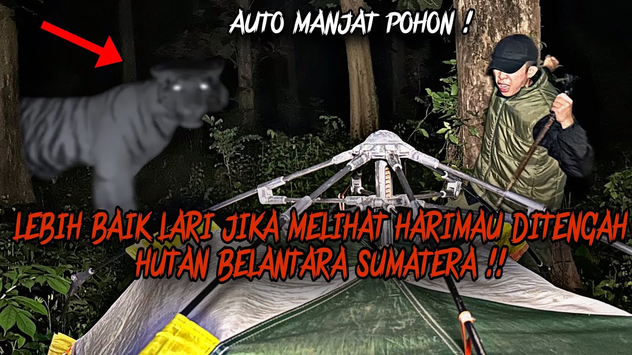 CAMPING HORROR : MENDING LARI JIKA BERTEMU SOSOK HARIMAU SUMATERA GAIB INI  DI PEDALAMAN HUTAN !!