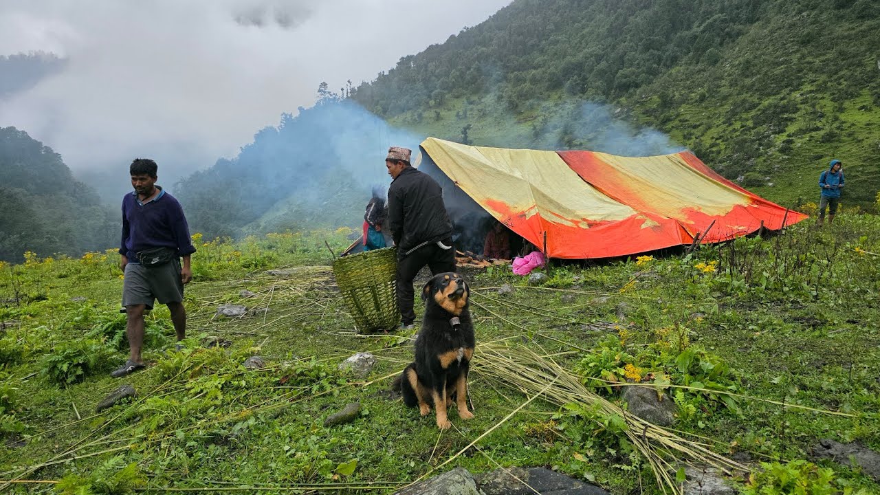 This is Himalayan Village During the Heavy Rainy Season | Daily Activities People in Village Life
