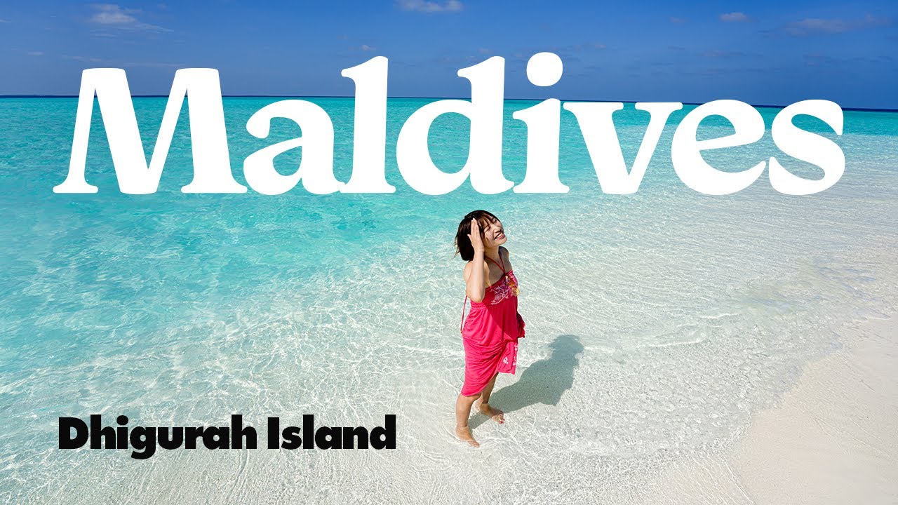 Субтитры / Dhigurah Maldives | Увидели лучший вид в нашей жизни! Китовая акула и скат Манта!