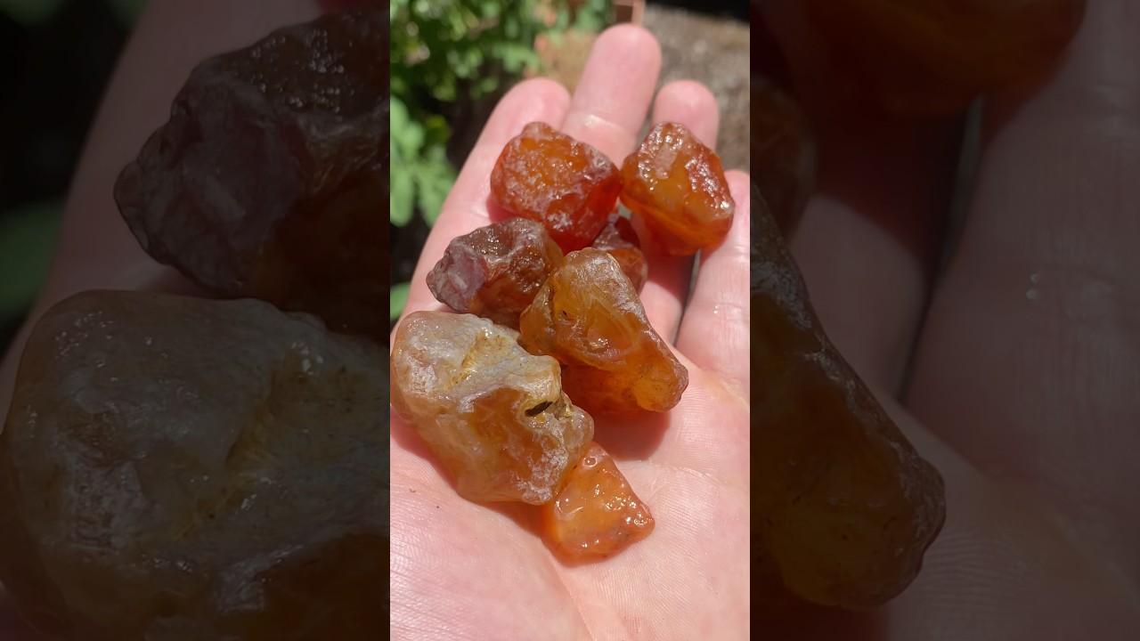 Finding River Gems 🌊💎 #rockhounding #crystals #quartz #rocks #gemstones #gems #agate #geology