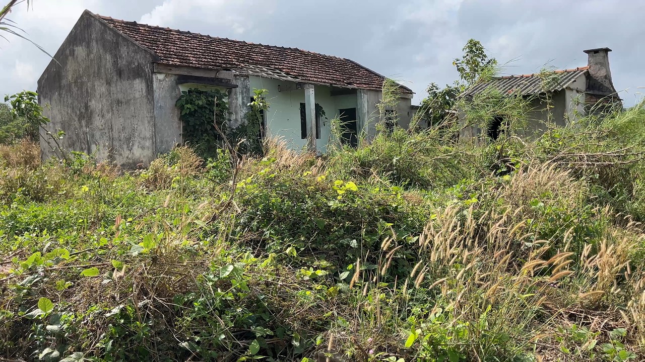 What will a house that has been abandoned for many years look like after being cleaned up?
