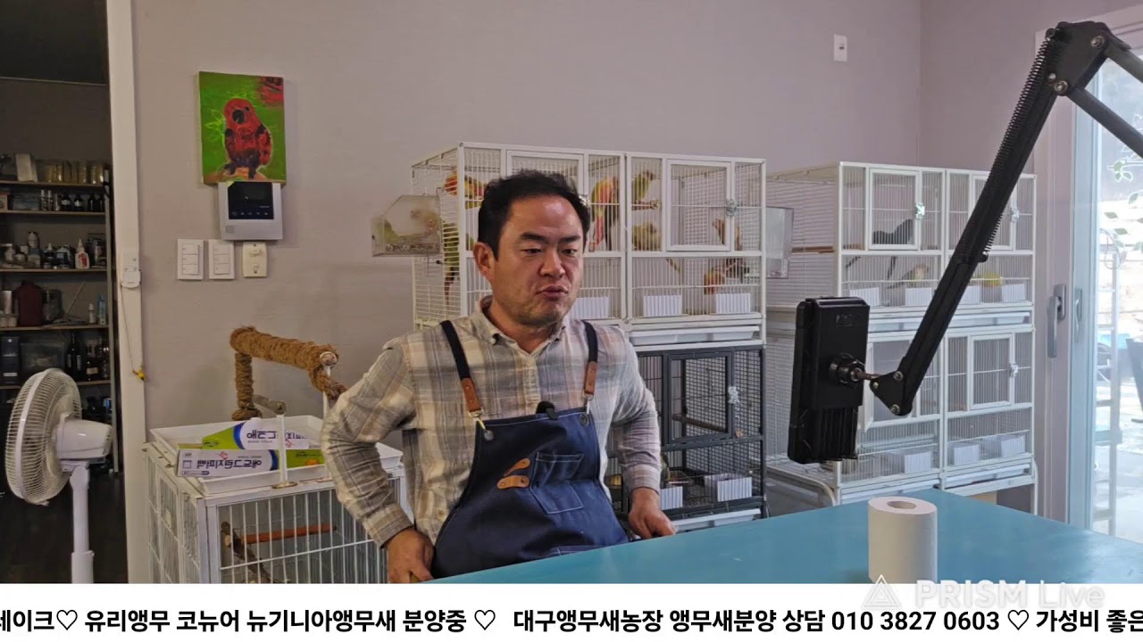 아침 이유식시간 / 대구앵무새농장 [ Birdlake ]  실시간라이브  앵무새분양및 행동상담 parrot korea 20260310