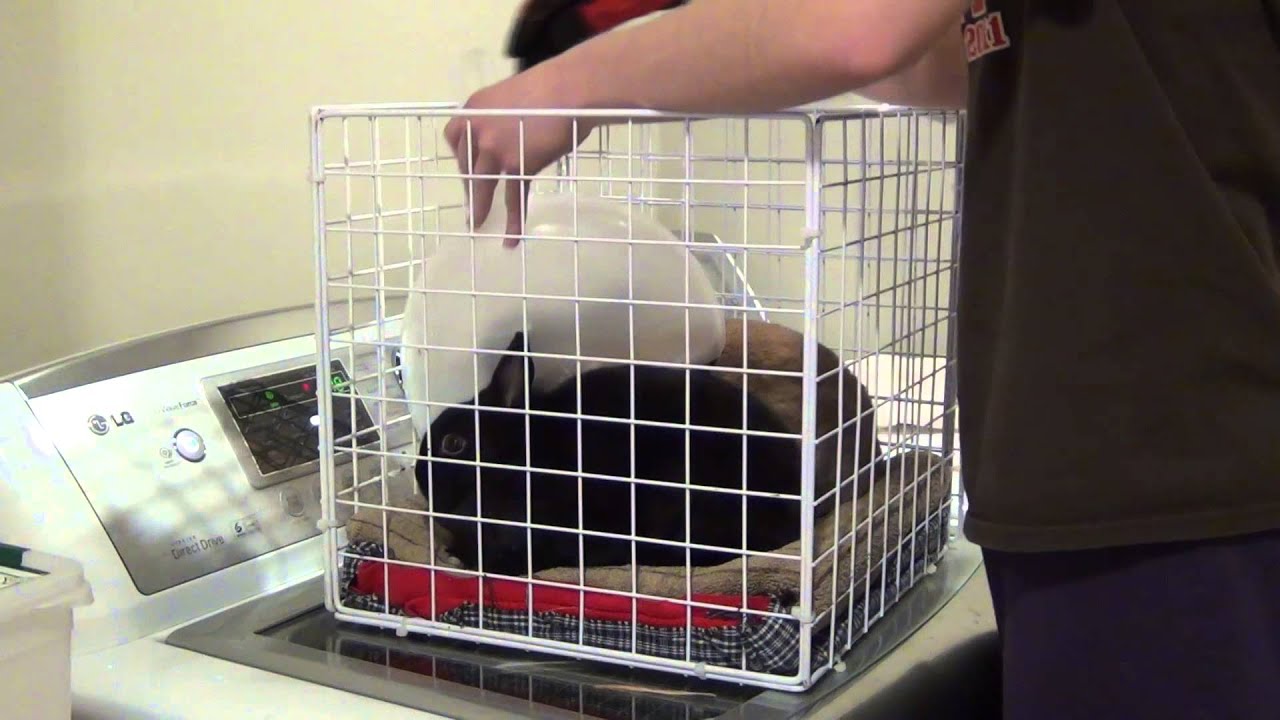 Bonding: Session #1-The Cube