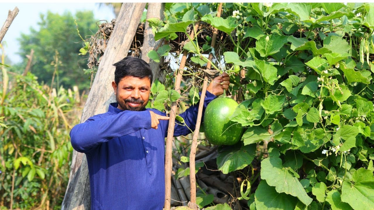 सब्ज़ी और भात उंगलियाँ चाटने पर मजबूर हो जाएगे ऐसे बनाएंगे | कदुआ भात स्पेशल  Lauki Chawal
