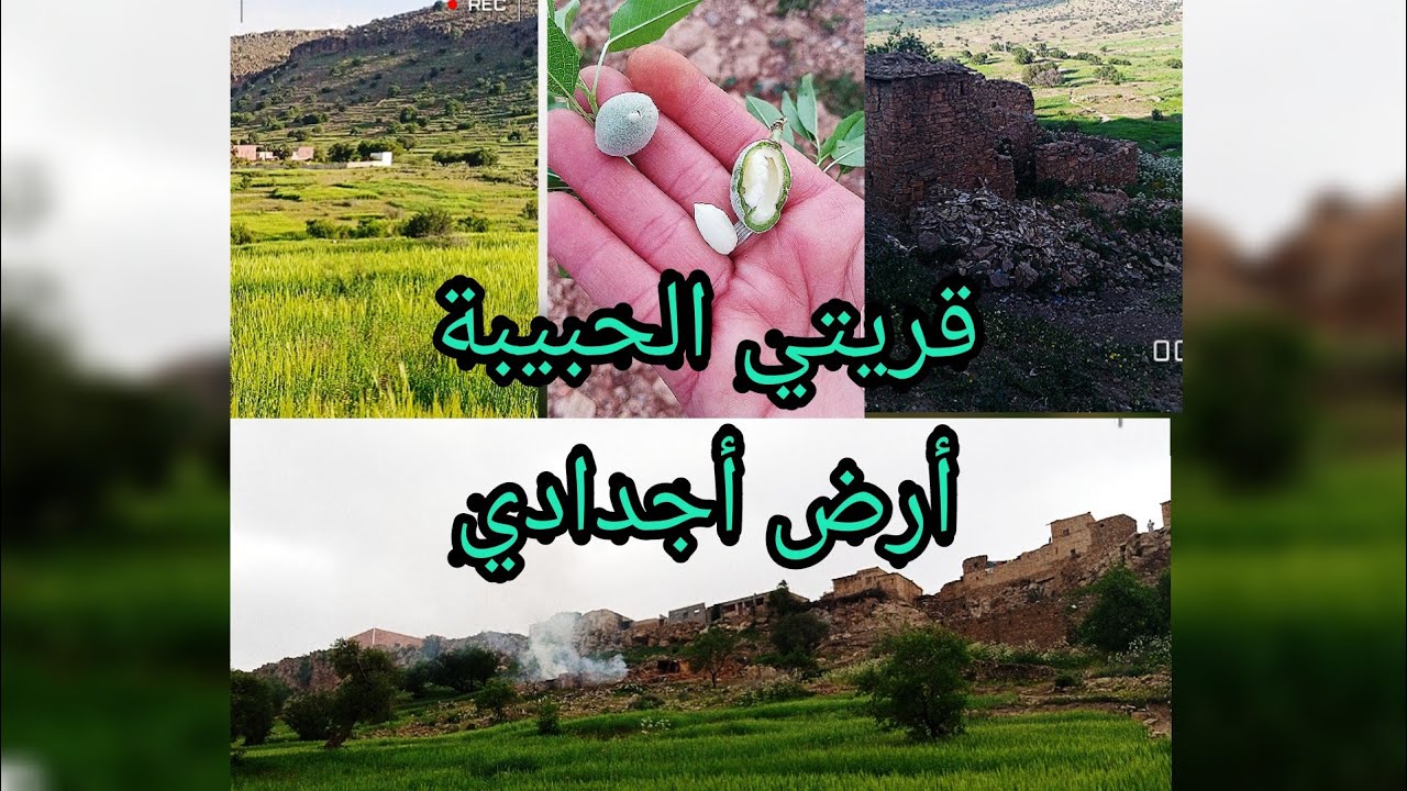 أول فلوغ فقناتي :جولة في قريتي  أرض أجدادي 