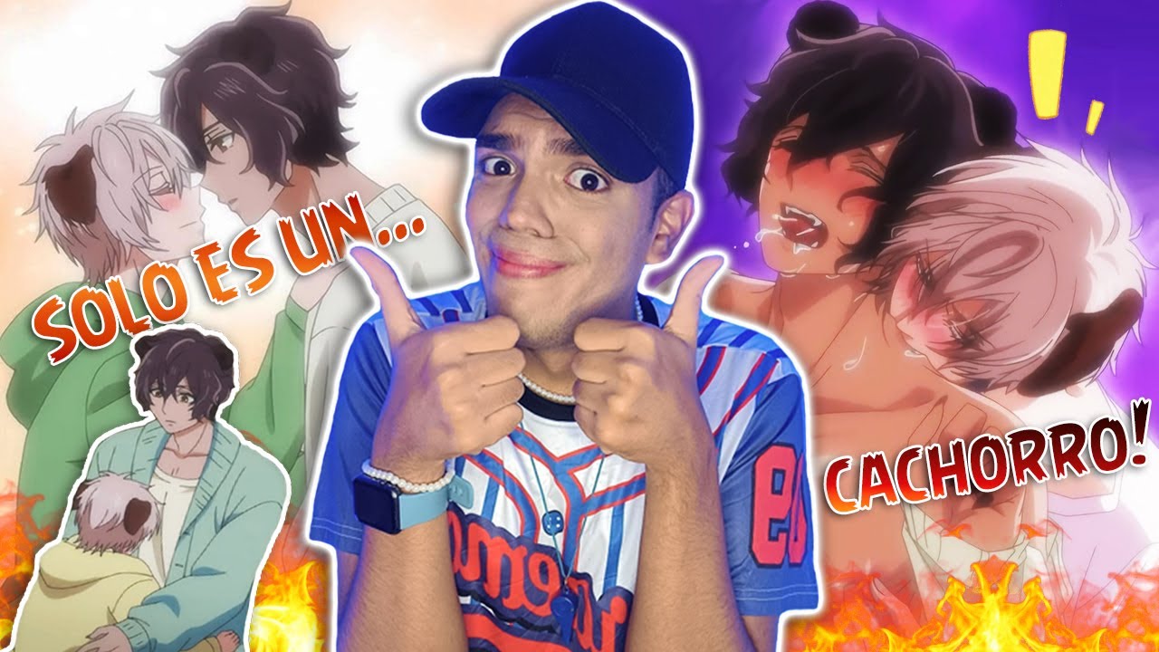 El PERRO que lo hizo con un OSO / Soy FURRO gracias a un YAOI | Reacción a Mori no kuma 🐻