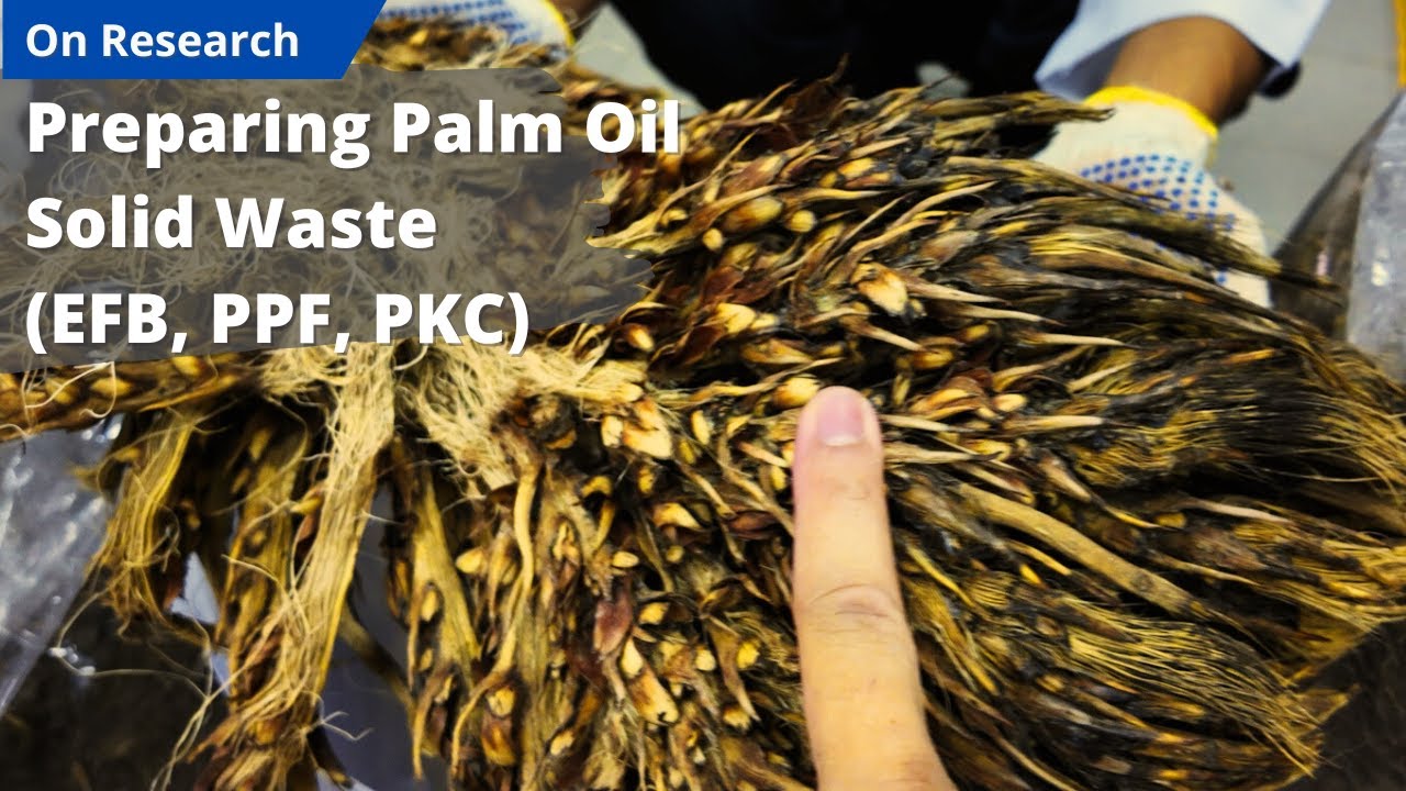 Crushing Palm Oil Empty Fruit Bunch (EFB), Palm Press Fiber (PPF), & Palm Kernel Shell (PKS)