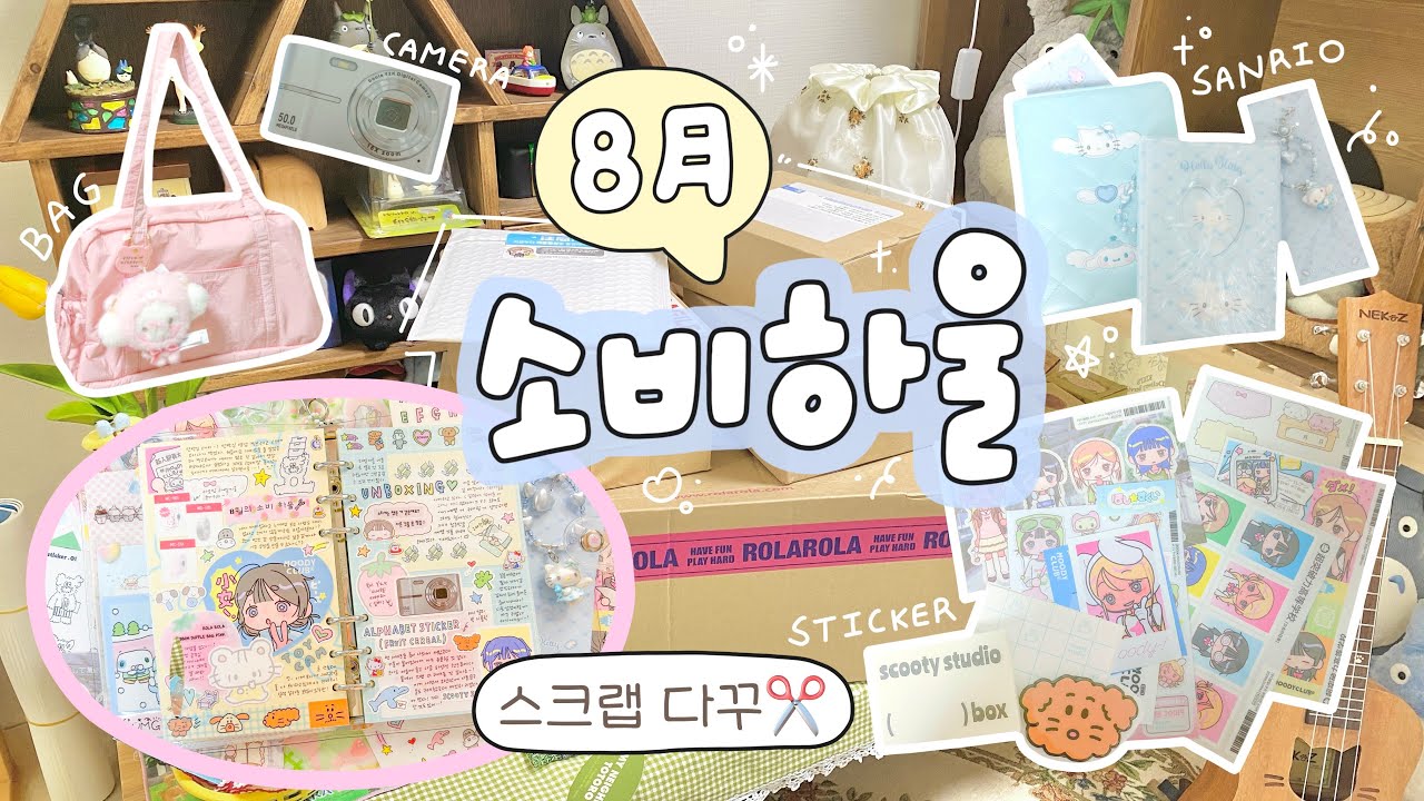 물욕 터진 8월의 택배깡📦 스티커 • 산리오 유메미루2 • 토이 카메라 • 핑크 더플백🩷 스크랩 다꾸도 같이해요✂️