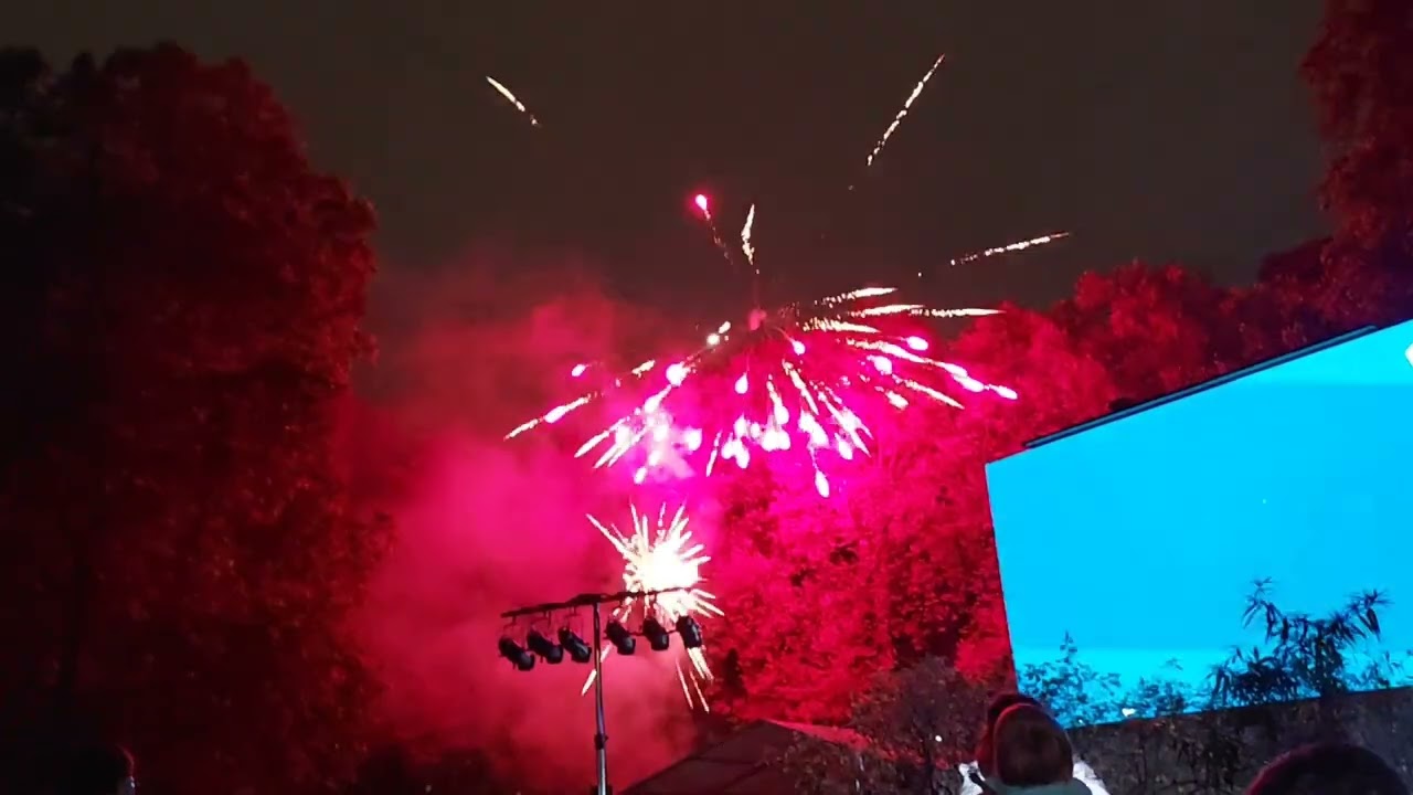 FIREWORK DISPLAY AT CORAM'S FIELDS, BLOOMSBURY, LONDON, ON 5TH NOVEMBER 2025.