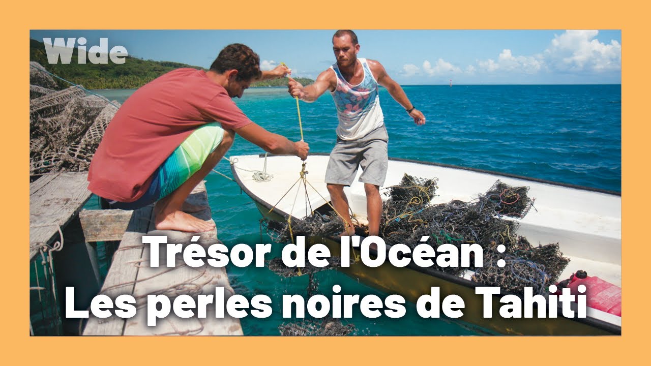 La larme divine de Tahiti I WIDE