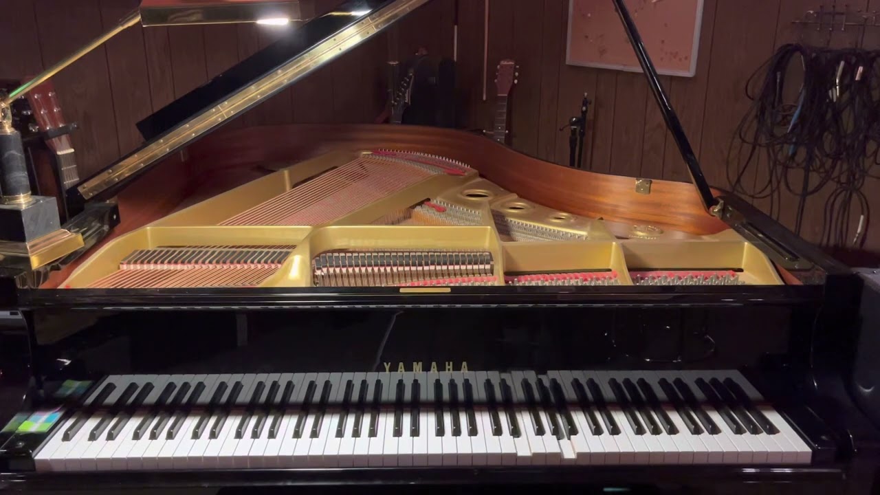 Fate of the Stars by Tally Hall | Player Piano Arrangement (album mp3 download in description)