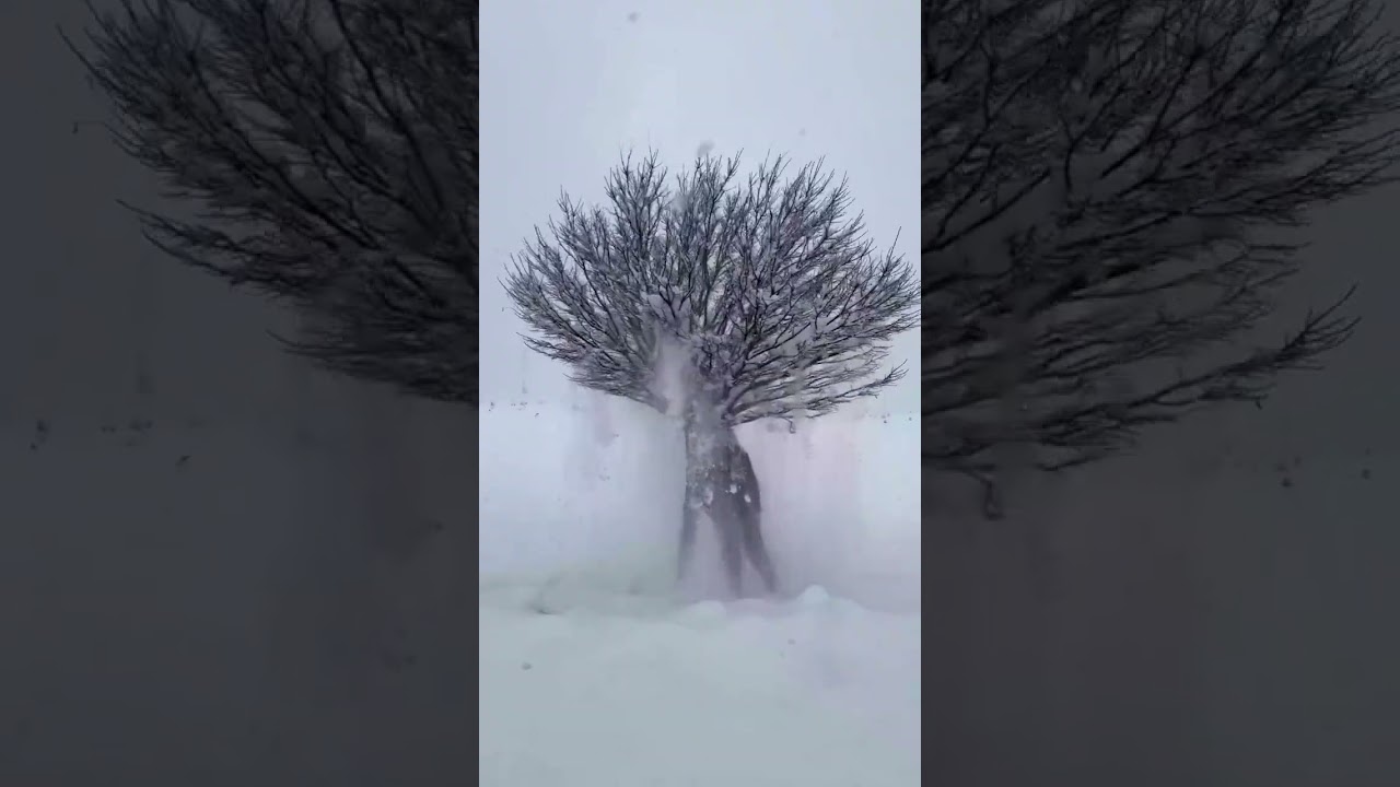 #asmrrelaxation #nature #calmingstudymusic #calmsounds #relax #mindfulnesssounds #snow