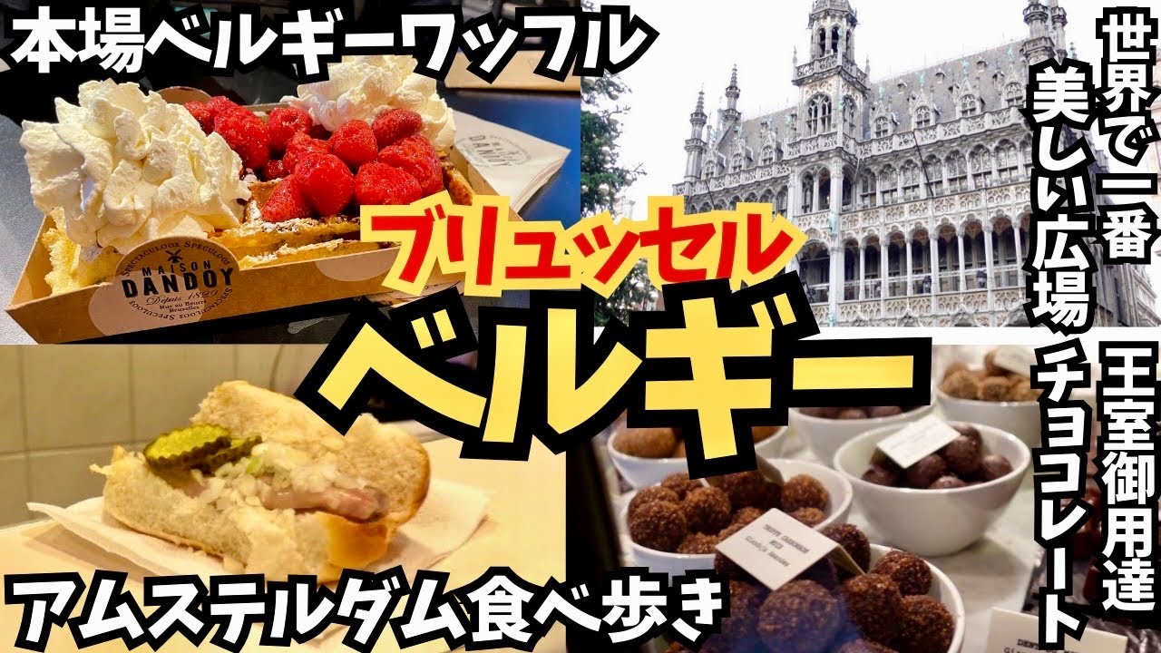 【vlog7】ブリュッセル観光紹介、アムステルダムからブリュッセル移動、おすすめのホテル、観光スポット#vlog #ベルギービール #ベルギー ＃ブリュッセル