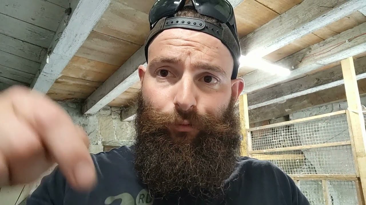Mon élevage de caille !!!  épisode 3 : check-up + bonus