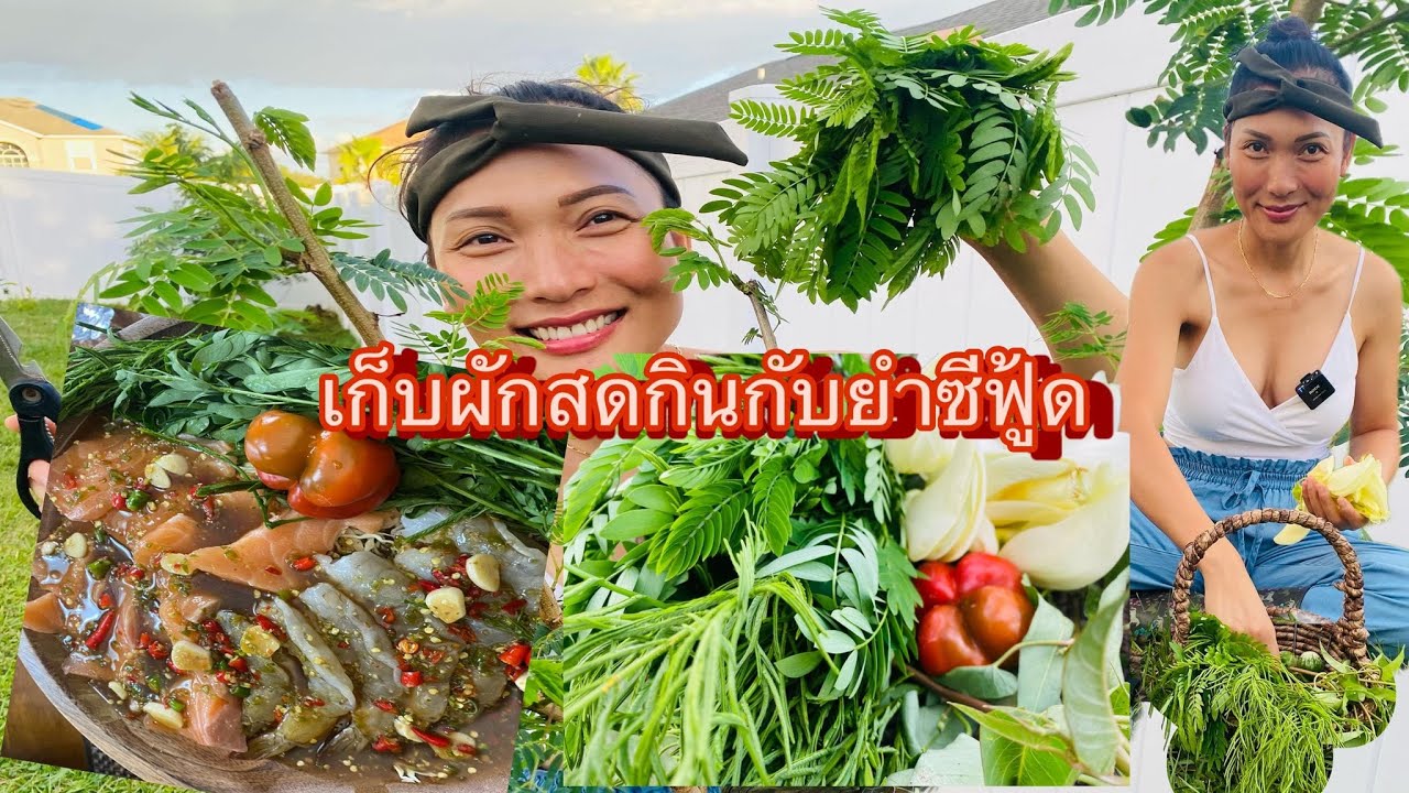 เก็บผักสดๆ กินกับยำซีฟู้ด ซี้ดมาก