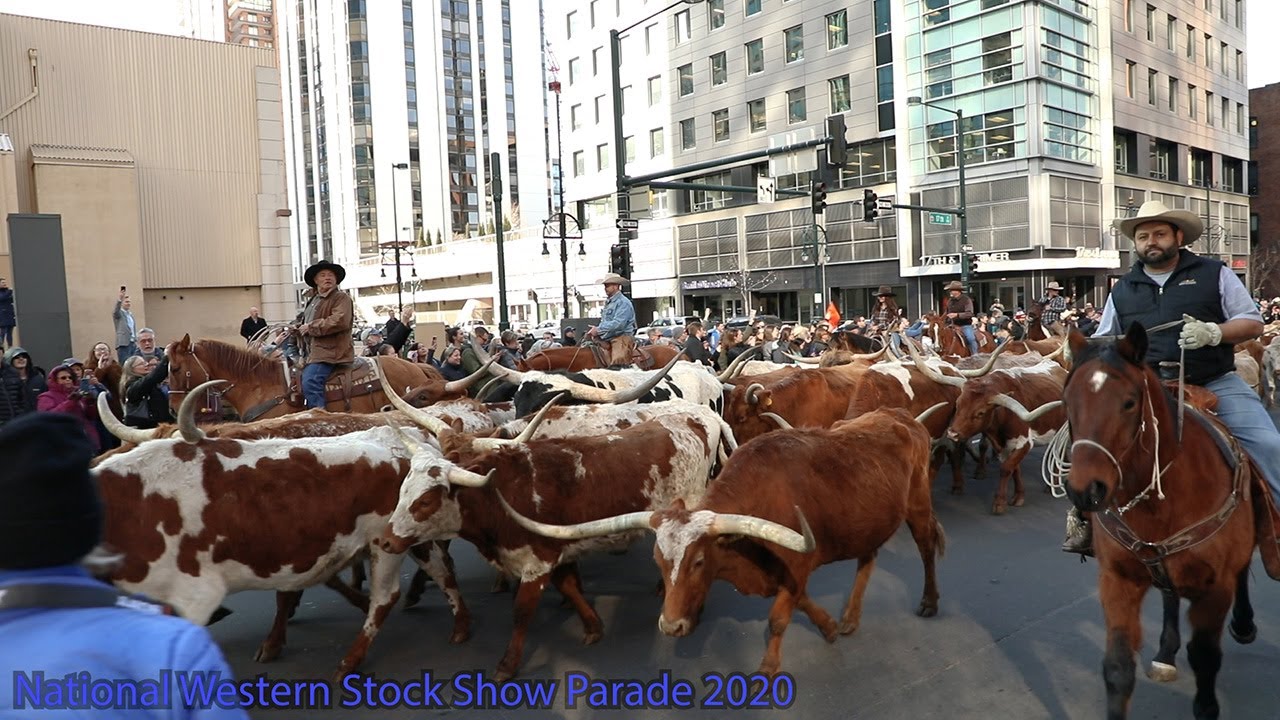 2020 National Western Stock Show Parade