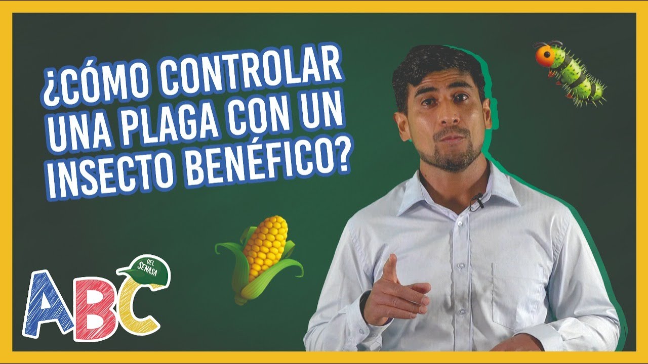 #ABCDelSenasa| Control Biol&oacute;gico