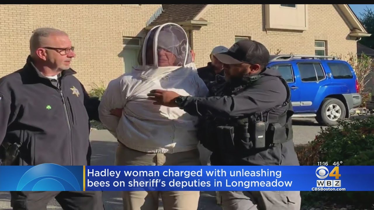 Hadley woman charged with unleashing bees on sheriff's deputies in Longmeadow