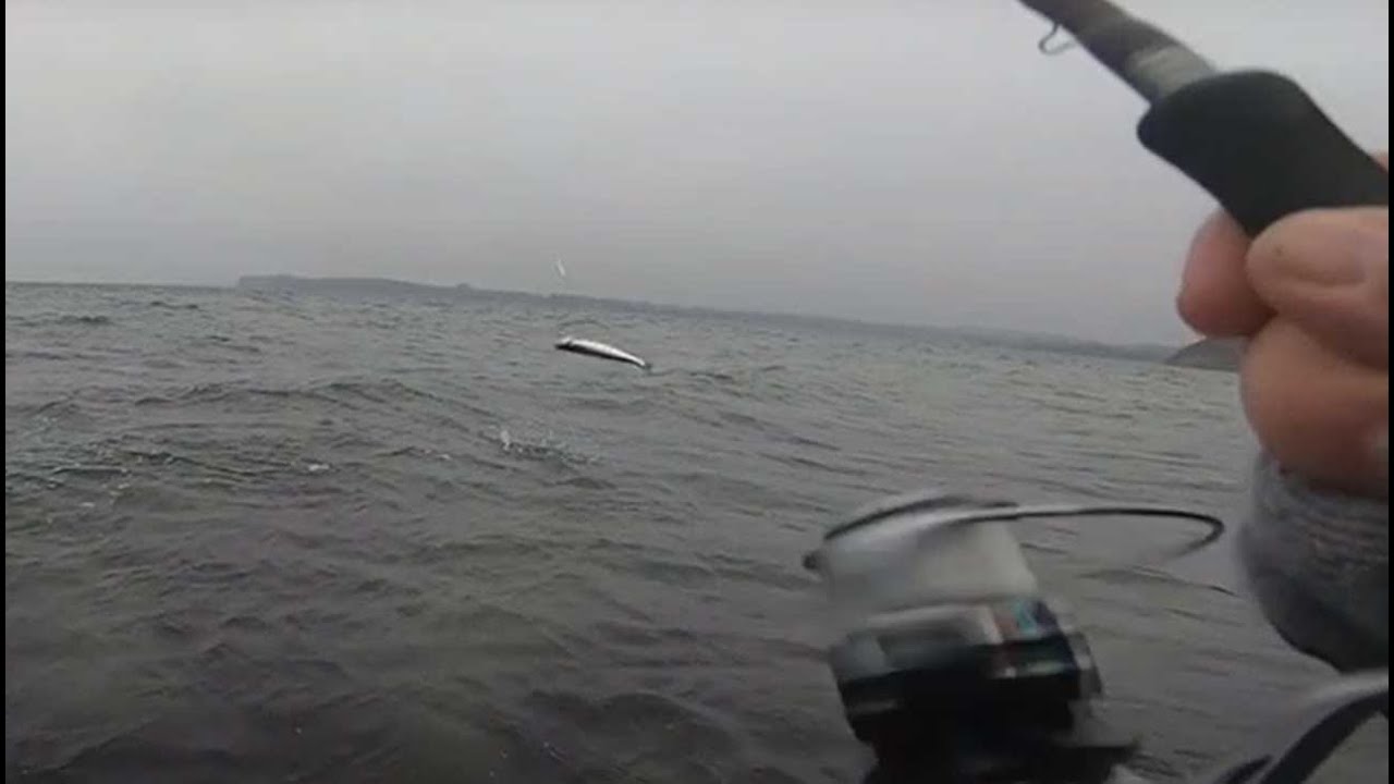Havørred / Sea Trout Denmark - Lækker november tur til Mågeøen og Gammel Løgten Strand