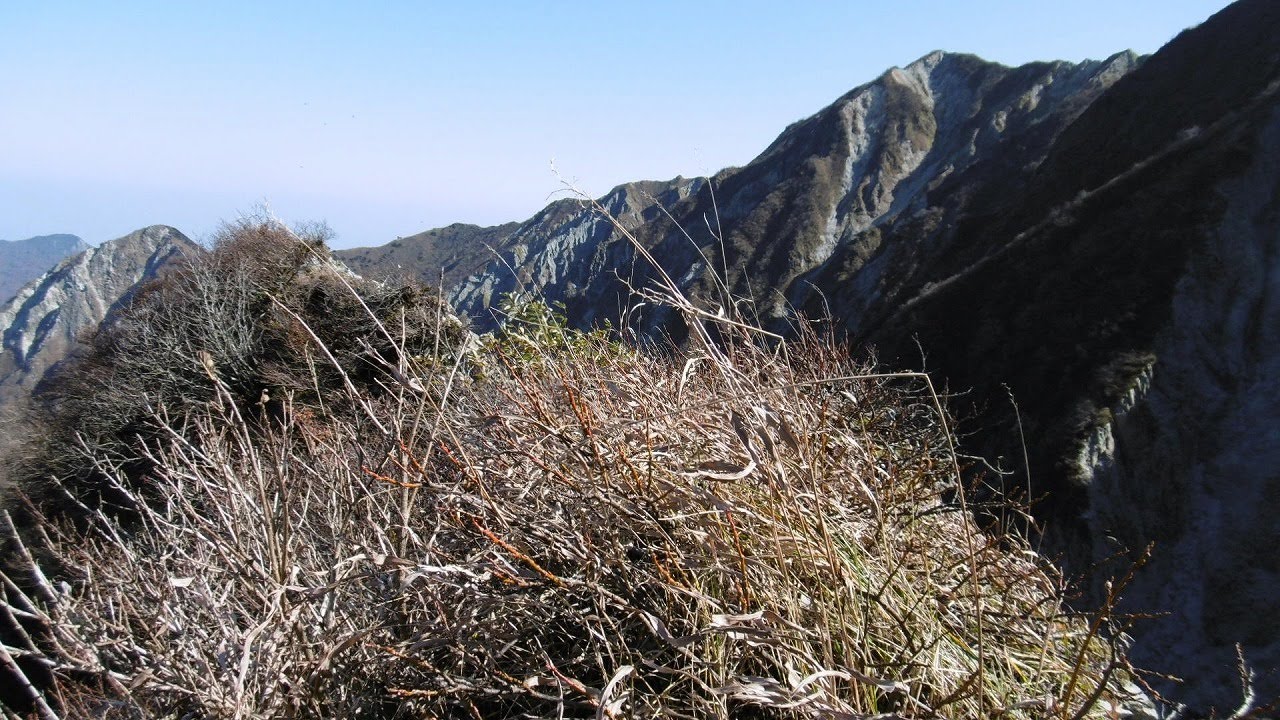 大山登山 無雪期別山中央稜におけるロープソロ試登 2023.11.2