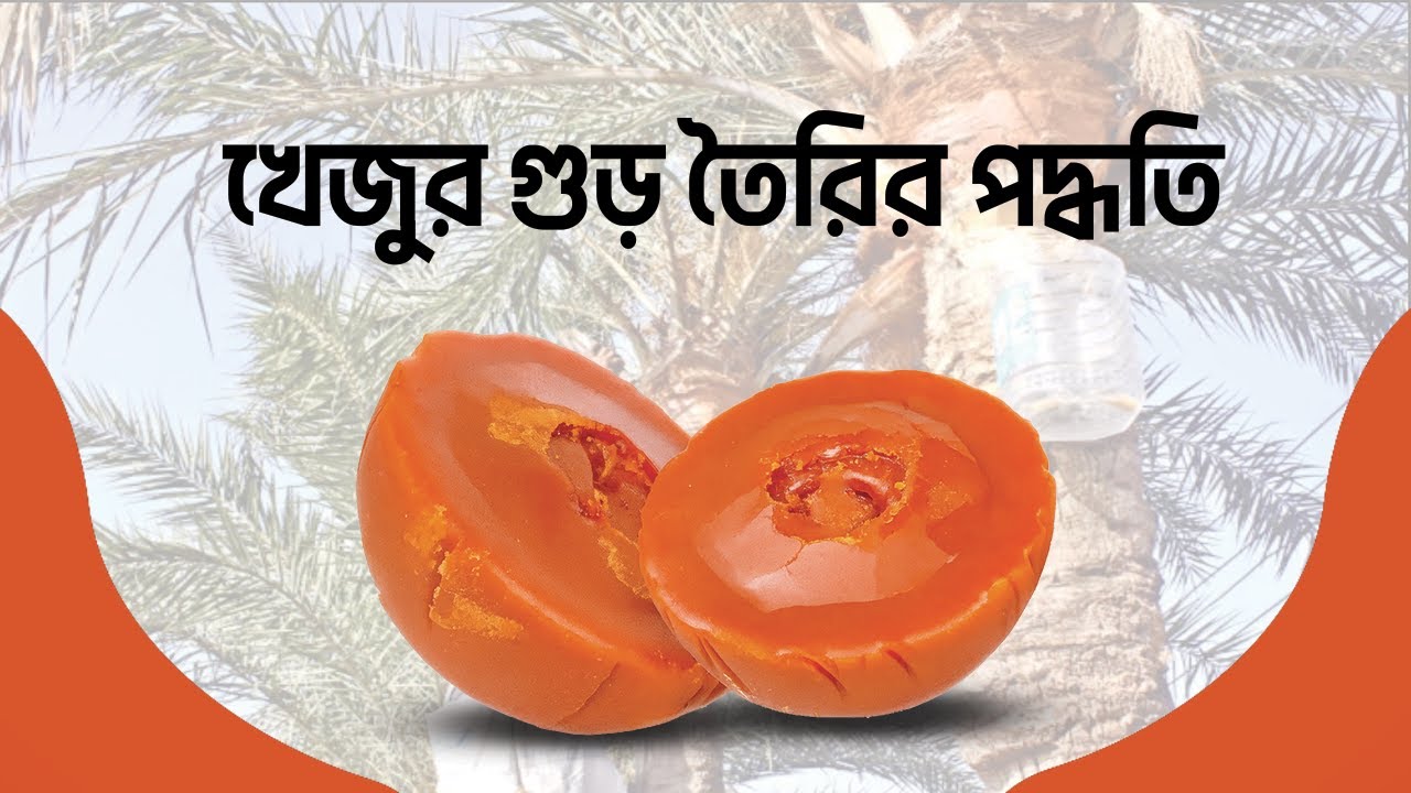 খেজুর গুড় তৈরির পদ্ধতি 