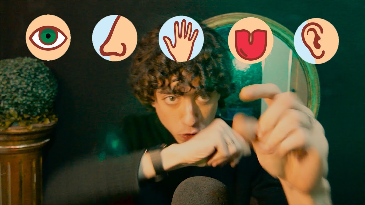 ASMR TINGLING YOUR FIVE SENSES