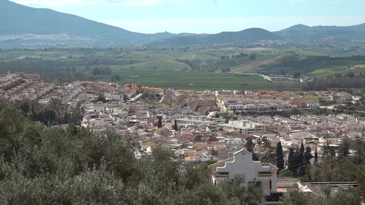 MÁLAGA SALEROSA (PIZARRA)